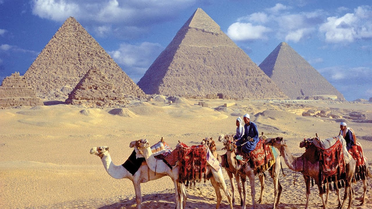 Tamer Safari