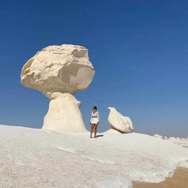3-Day Fayoum Wadi El Hitan and White Desert safari tour from Cairo