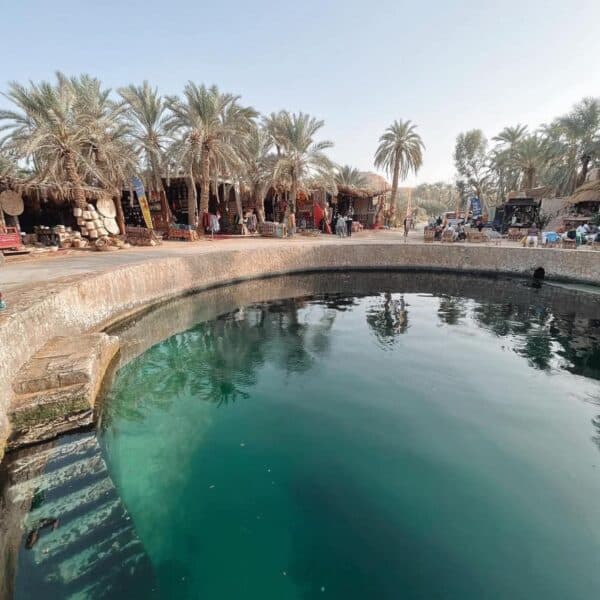 4-Day Siwa Oasis & White Desert Tour from Cairo | Desert Safari