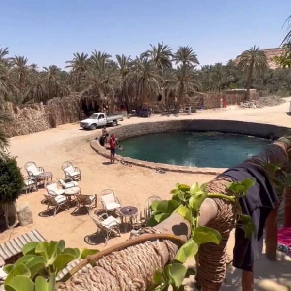 4-Day Siwa Oasis & White Desert Tour from Cairo | Desert Safari