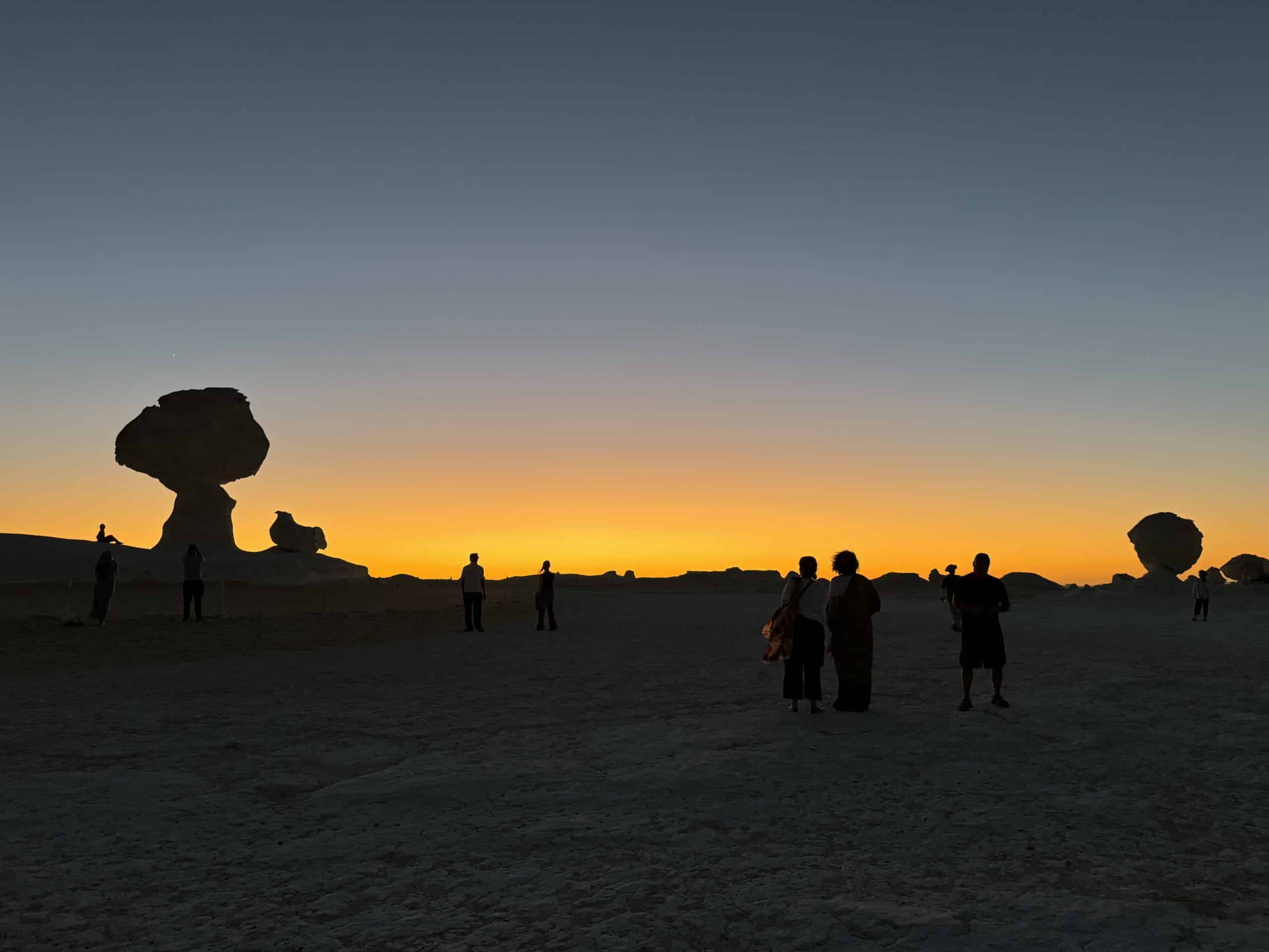 4 Days Siwa Oasis & White Desert Tour from Cairo | Safari, Camping & Salt Lakes