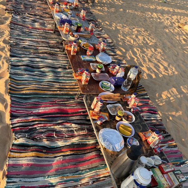 3-Day Siwa Oasis tour from Cairo featuring salt lakes and historical sites