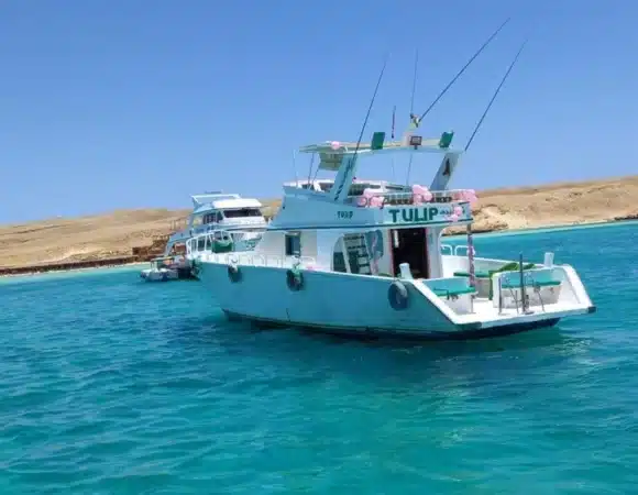 Fishing and Boat Trip in Hurghada | 9 Hours Full-Day Cruise