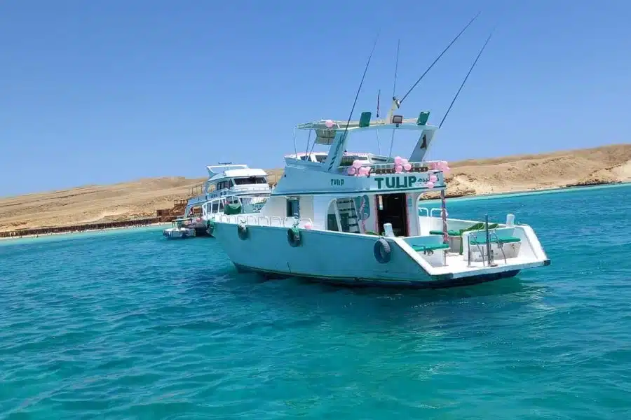 Fishing and Boat Trip in Hurghada | 9 Hours Full-Day Cruise