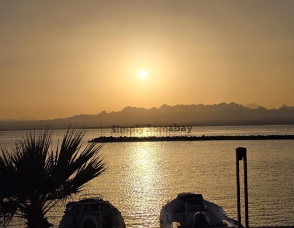 Cairo and Alexandria Tour in 3 Days | Iconic Highlights