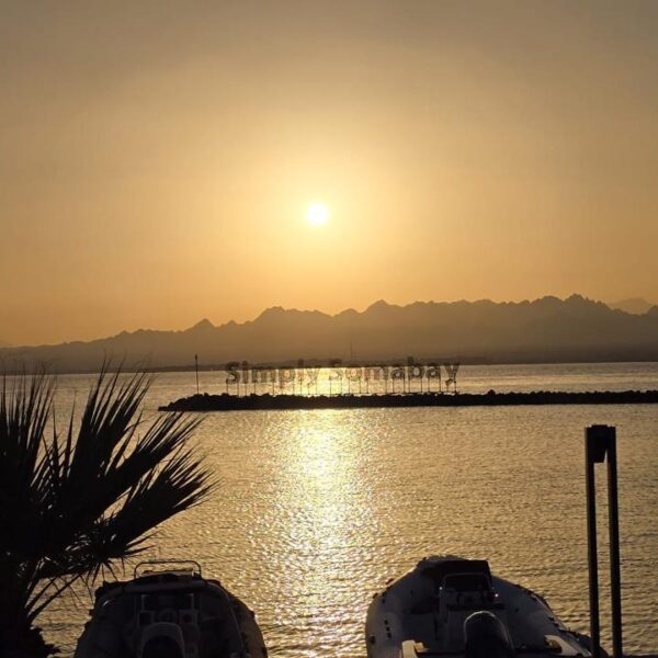 Cairo and Alexandria 4-Day Tour: Discover Egypt’s Best Sights