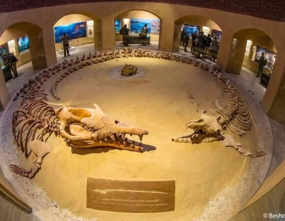 3 Days Fayoum, Wadi El Hitan & White Desert Safari from Cairo | Bahariya Oasis Camping