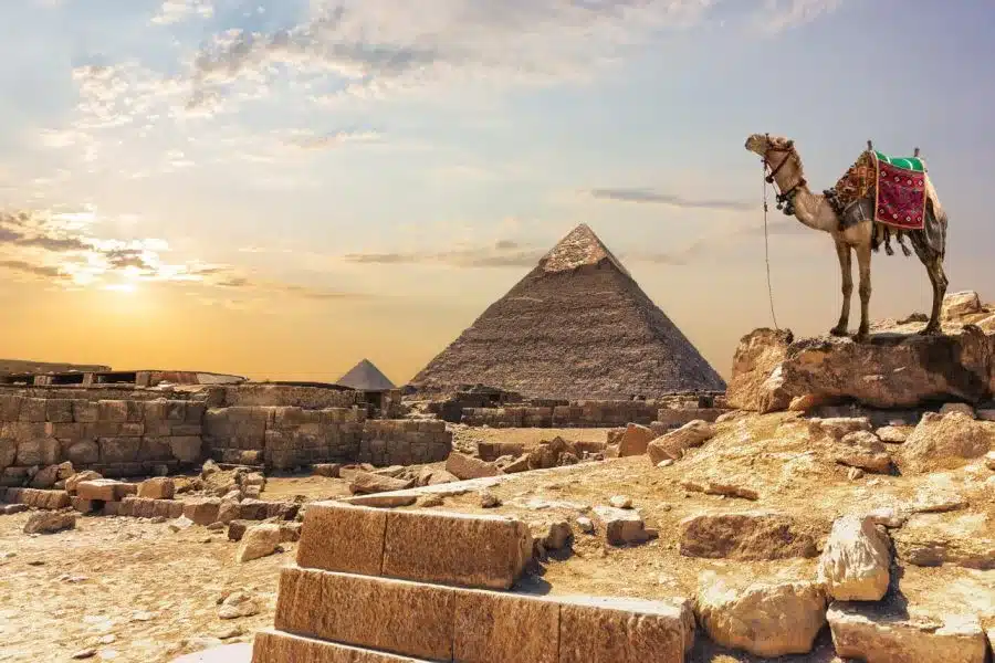 Cairo and Pyramids Tour from Hurghada by Car | 16 Hours