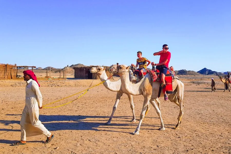 Sharm El Sheikh Desert Safari and Stargazing | 5 Days Tour