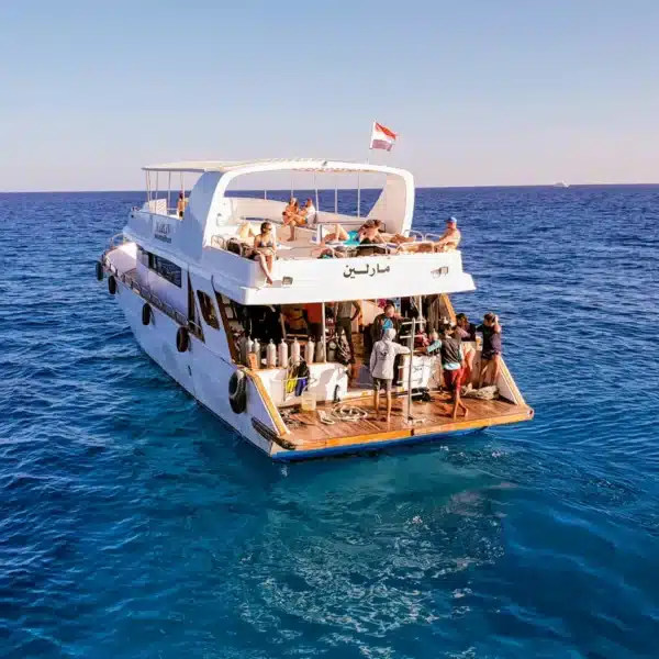 Scuba diver exploring vibrant coral reef walls and sea turtles in Ras Mohammed National Park Sharm El Sheikh