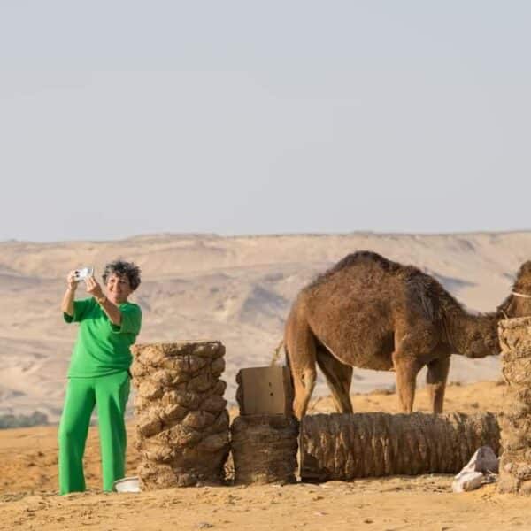 White Desert Camel Trekking guided by Bedouins