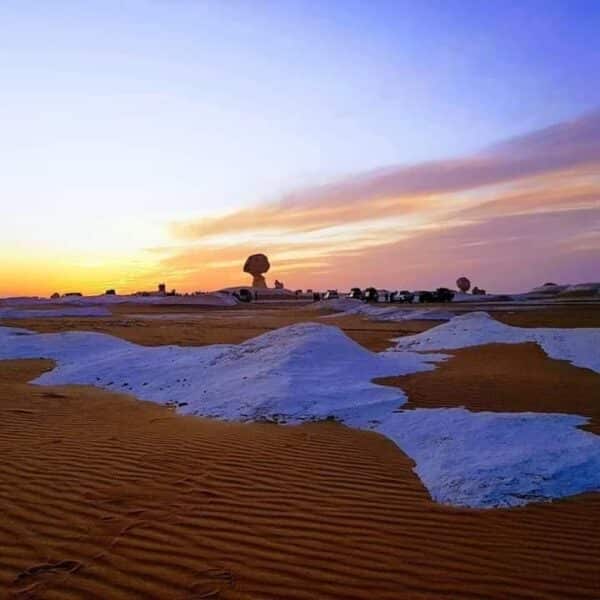 White Desert Camel Trekking guided by Bedouins